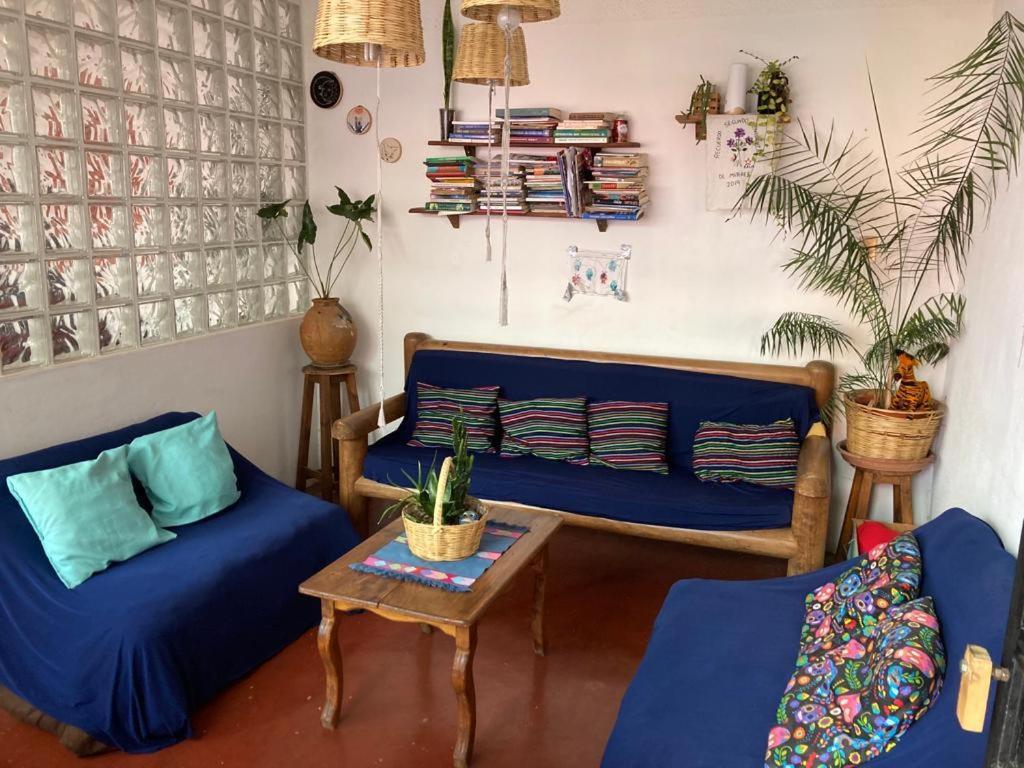 Casa Huipil Hotel San Cristóbal de Las Casas Екстериор снимка